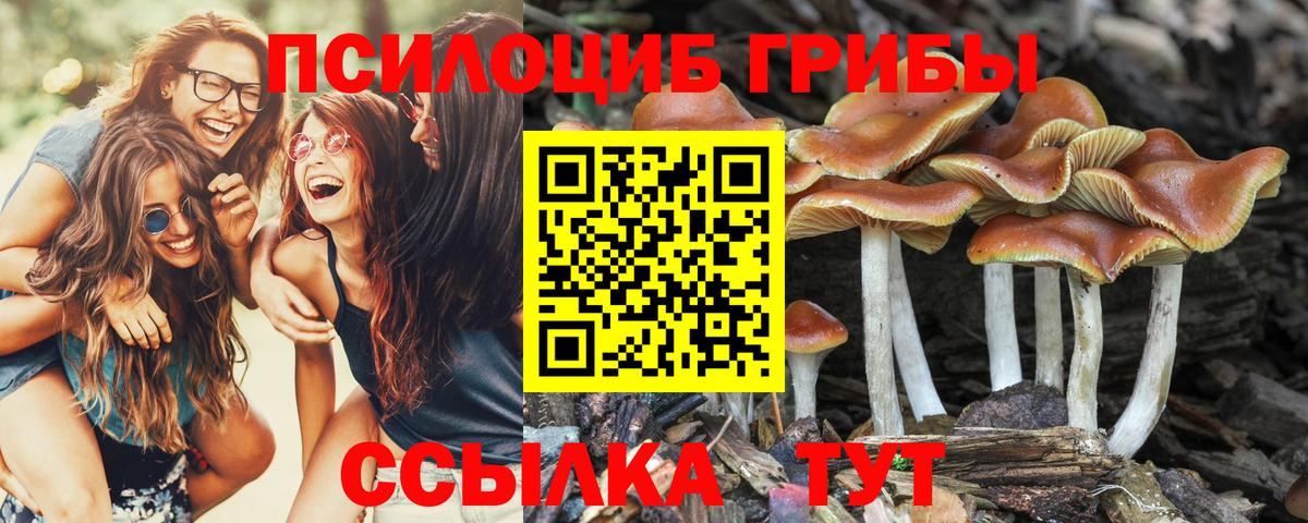 Галлюциногенные грибы ЛСД Бахчисарай