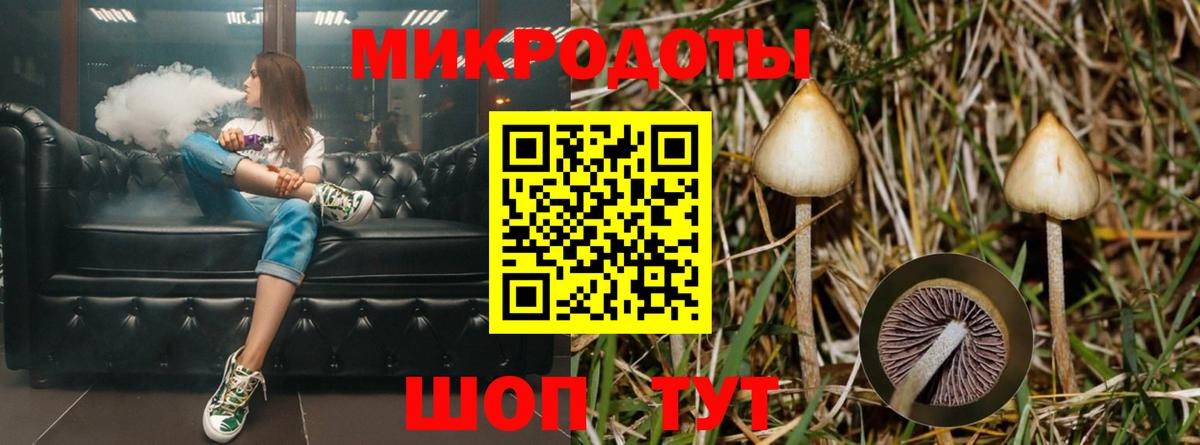 Псилоцибиновые грибы Magic Shrooms  Псилоцибиновые грибы мицелий  Бахчисарай  Вход с VPN 
